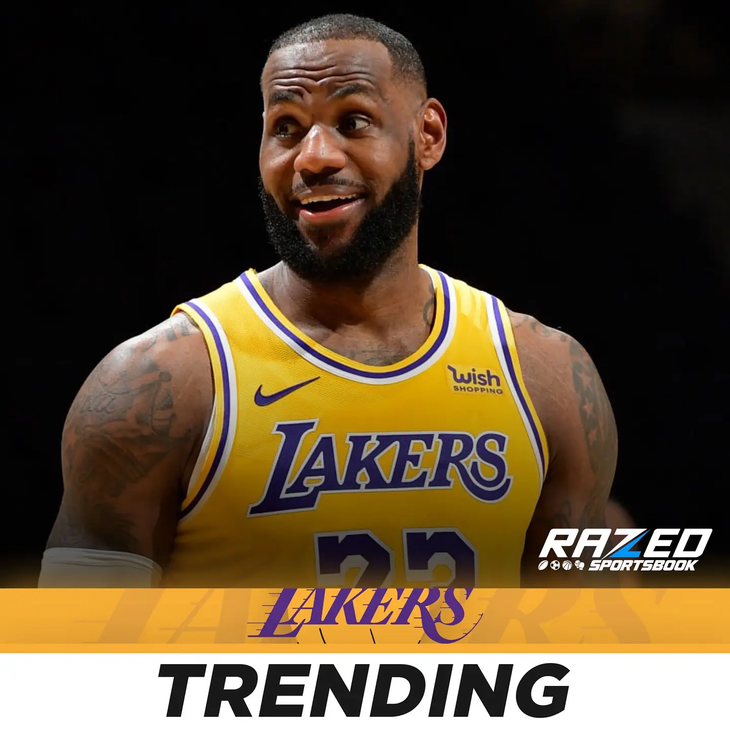 毕竟布朗尼, 调查的结果, 演赛 毕竟布朗尼, 调查的结果, 演赛