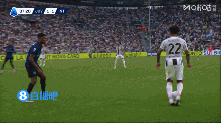 net, 国米 net, 国米